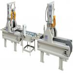 VMS-T4 PLC HASSAS EBATLAMA HATTI