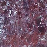 ELAZIG CHERRY