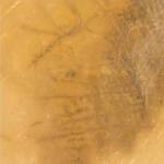 Golden Brown