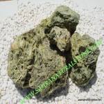 GREEN SPAGETT�