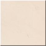 L�MESTONE FOS�LL�