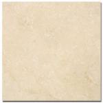 Lion Beige