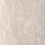 MOON CREAM