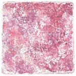 Pink Red
