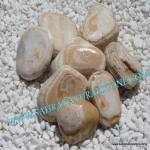 R�V�ERA SUNSH�NE