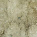 RUSTIC FOREST