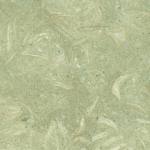 SHELL STONE