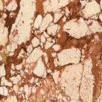 TERRA COTTA