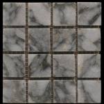 Tiger Skin Mosaic Colors