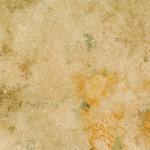 GOLDEN WALNUT TRAVERTEN