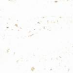 WHITE TRAVERTINE