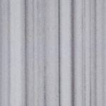 ZEBRA 2